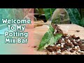 Potting mix  all you need to know to make an amazing substrate for your plants diy