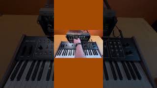 Sequential Circuits Six Trak (FOR SALE) #synth #analogsynth #synthesizer #sequentialcircuits