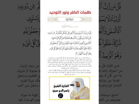 الآية 16 من سورة الرعد القارئ الشيخ ياسر الدوسري 