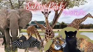 สวนสัตว์เปิด ซาฟารี ปาร์ค กาญจนบุรี มีอะไรให้ดูบ้าง? || Safari Park Open Zoo ที่เที่ยวใกล้กรุงเทพ by Scottish Fold Cat * Amber * 17,981 views 2 years ago 14 minutes, 14 seconds