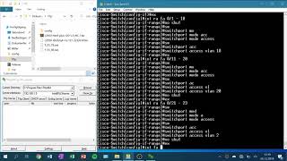 Cisco Catalyst 2950 basic config   VLAN