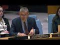 Attacks on UNRWA Aim to Remove Palestinian Refugee Status | UN Security Council Briefing