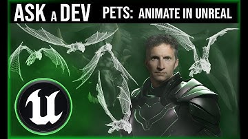 Pets: --     Animate in Unreal      ---|  Unreal Engine Tutorial