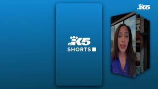 KING 5 Shorts