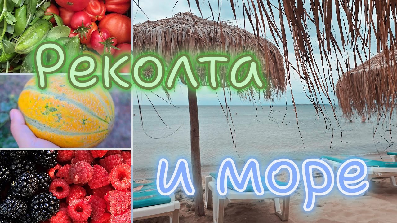 Реколта от градината и почивка на море