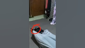 WUJUD ASLI HANTU SERAM BIKIN KAGET!! #shorts #hantu #creepy