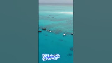 سورة الرعد و..كا.نك تسمعها لأ،،و.ل مر.ة❤️💓..🌸💚💘🌼؛💟بصوت الشيخ حمزة مد؛بو.ح ❣️💮،،🌸،؛🌼❤️؛.💙🌷💐