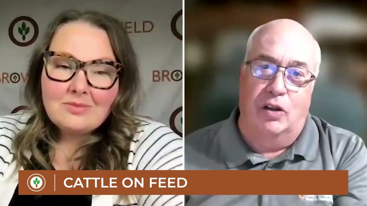 The big news from the latest Cattle on Feed report