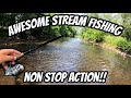 AWESOME Stream Fishing (NON STOP ACTION!!