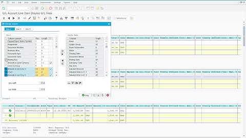 FI Step 8 Display and Review General Ledger