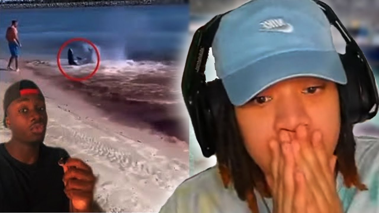 The Good, Bad and the Disrespectful Ways Animals Protect Themselves. They Do WHAT With Their Eyes?!😨