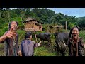 91 Years Old Man Living Alone in The Middle of The Forest | Beautiful Unseen Village Life of Nepal