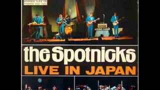 Video thumbnail of "From Russia With Love - The Spotnicks"