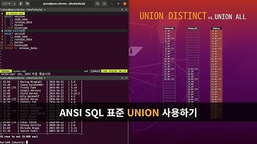 ANSI SQL 표준 UNION 사용하기