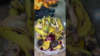 Organic waste