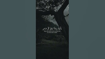 القارئ فارس عباد - واذن في الناس بالحج ياتوك رجالا وعلى كل ضامر ياتين من كل فج عميق سورة الحج