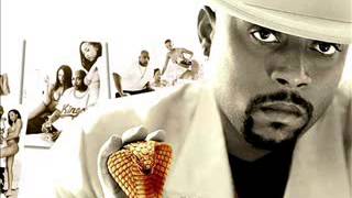 Video thumbnail of "Nate Dogg  She's Strange Naughty By Nature Biaefect Remix)"