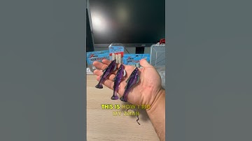 How to rig a ZMAN plastic with screw lock hooks! #fishing #howto @ZManFishingProducts