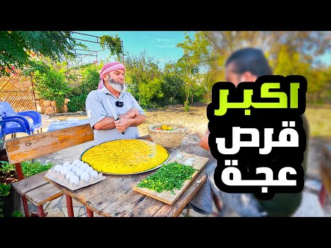 طبخنا أكبر قرص عجة يشبع 20 رجل ا