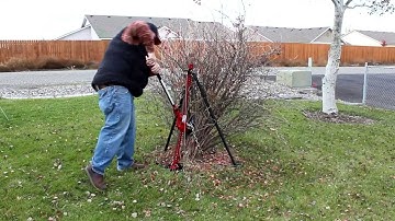 How to Remove Shrubs the Easy Way