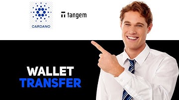 How To Send Cardano From Tangem Wallet To Ledger Nano X 2025