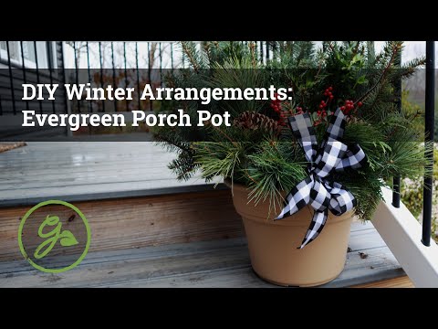 Video: DIY Winter Arrangementen: Vakantie Veranda Pot - Tuinieren Know How