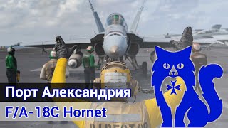 картинка: Что такое реалистичный симулятор? (DCS World) - F/A-18C Hornet