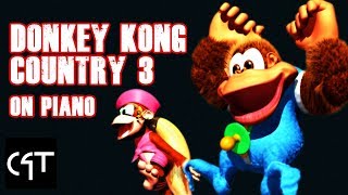Stilt Village | Donkey Kong Country 3 GBA ver. (Piano Cover)