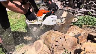Nice little stock Stihl 028av with a little muffle opening