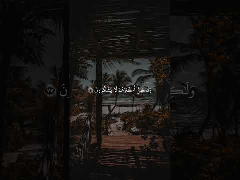 وان ربك لذو فضل على الناس اسلام صبحي