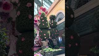 Bellagio Hotel Garden Las Vegas 2026