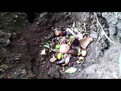 Video: Enmendar la tierra con compost: aprenda a mezclar tierra y compost