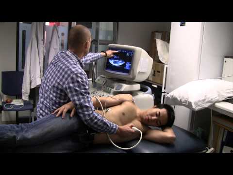 Teaching Ultrasound | NTNU