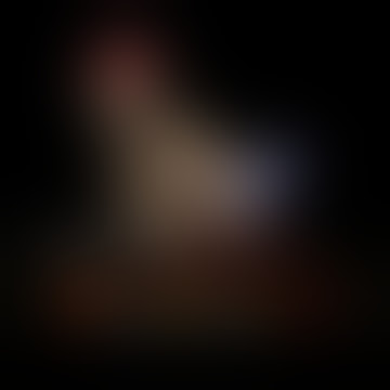 RICARDO MILOS X ZELDA