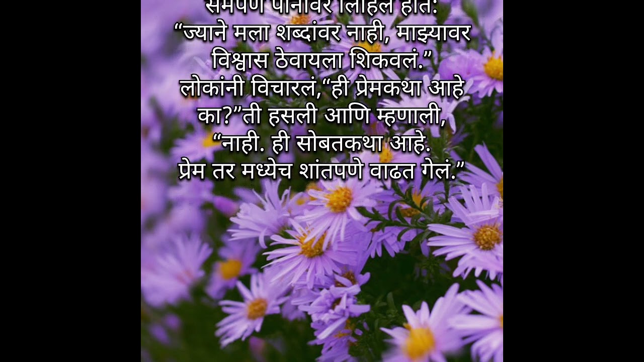 #अबोल सायलीला विराजच्या प्रेमाने धैर्यवान बनवलं.... #प्रेम कथा #मराठी कथा #हृदयस्पर्शी कथा. 🫶👌👍