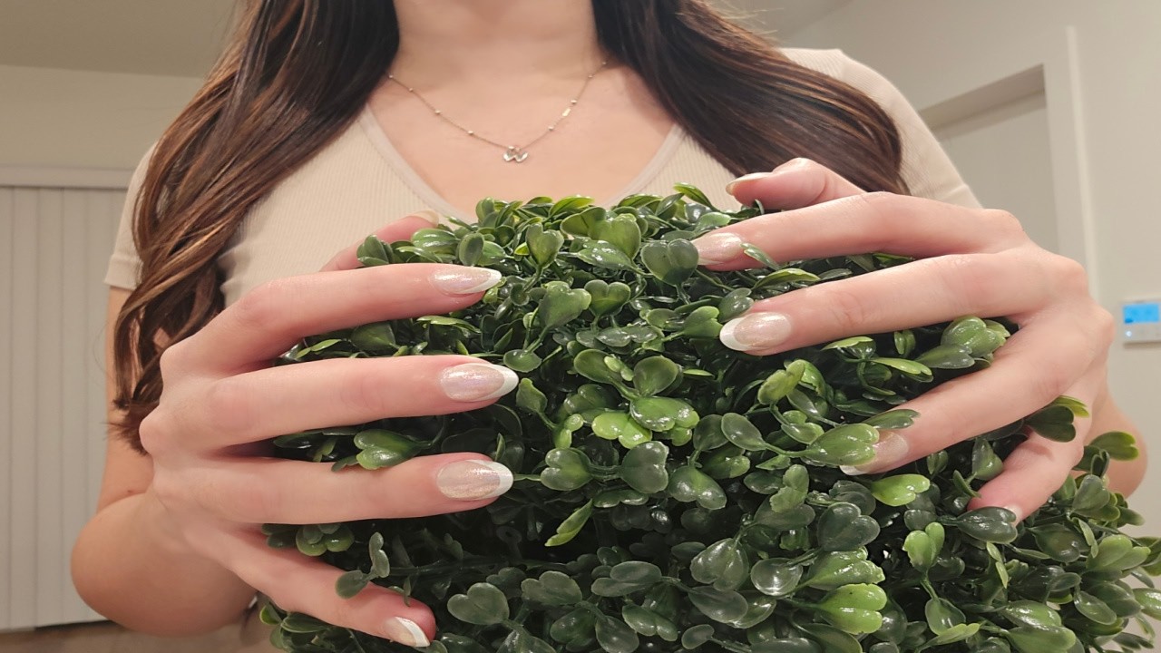 ASMR Scratching Topiary Plant / Boxwood Ball (No Talking)