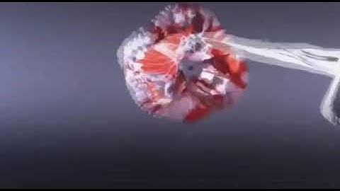 The Mars rover parachute had a secret message on it & the Internet was quick to decode