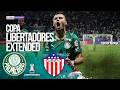 Palmeiras BRA Vs Junior COL EXTENDED HIGHLIGHTS Copa Libertadores 05 28 2026 BeIN SPORTS 