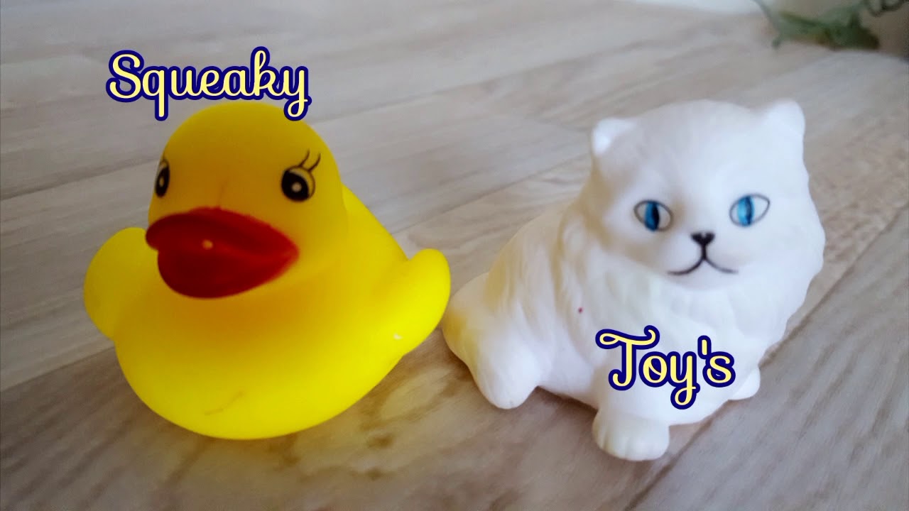 SQUEAKY TOY SOUND FOR YOUR DOGS , DOGGY TREAT , SOUND EFFECT . YouTube