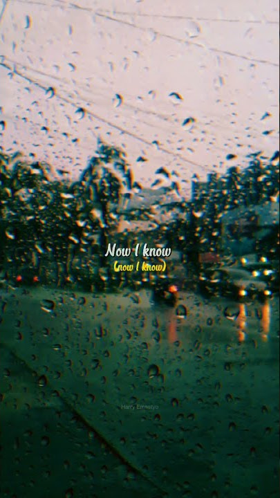 Story WA | Kaleb J - Now I know | lirik | 30 detik #shorts
