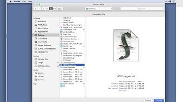 Gorilla 6: Lesson 3-Importing a Screenplay