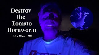 How To Organically Destroy The Tomato Hornworm. Its So Much Fun