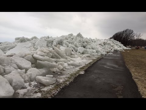 Video: Habarovsk'ta Nerede Eğitim Görmeli