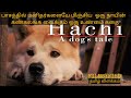 Hachi a dogs tale2009  filmsyfied     hollywood movies explained in tamil