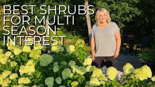 Low Maintenance and Easy Shrubs to Grow Around Your Home! Multi Season Interest In The Garden!