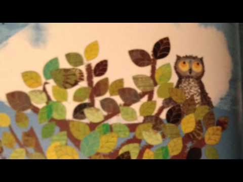 Wow Said The Owl. Children's Short Story. Story About Colours.