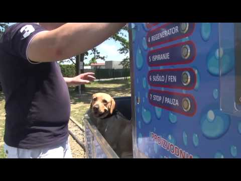 Video: Urbani Veterinari Koji Vide Više Pilića Za Kućne Ljubimce