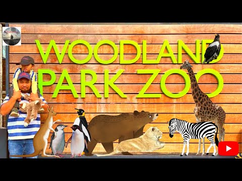 Visiting Woodland Park Zoo, Seattle Washington #zoo #usa #travel  #seattle #woodlandpark