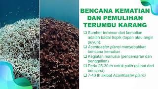 Transplantasi Terumbu Karang