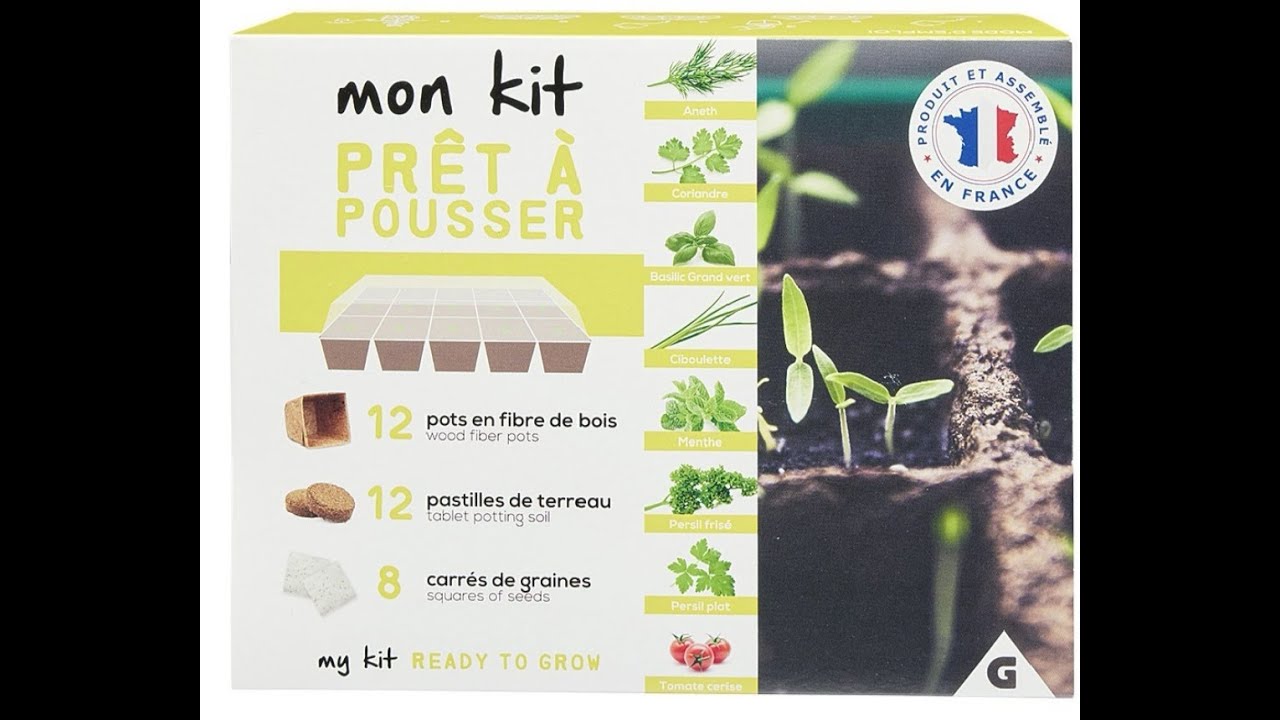 CULTIVEA® Mini Kit Prêt à Pousser Bonsaï – Graines Françaises 100
